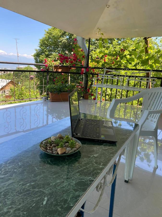 Nino'S Veranda Apartment Telavi Extérieur photo